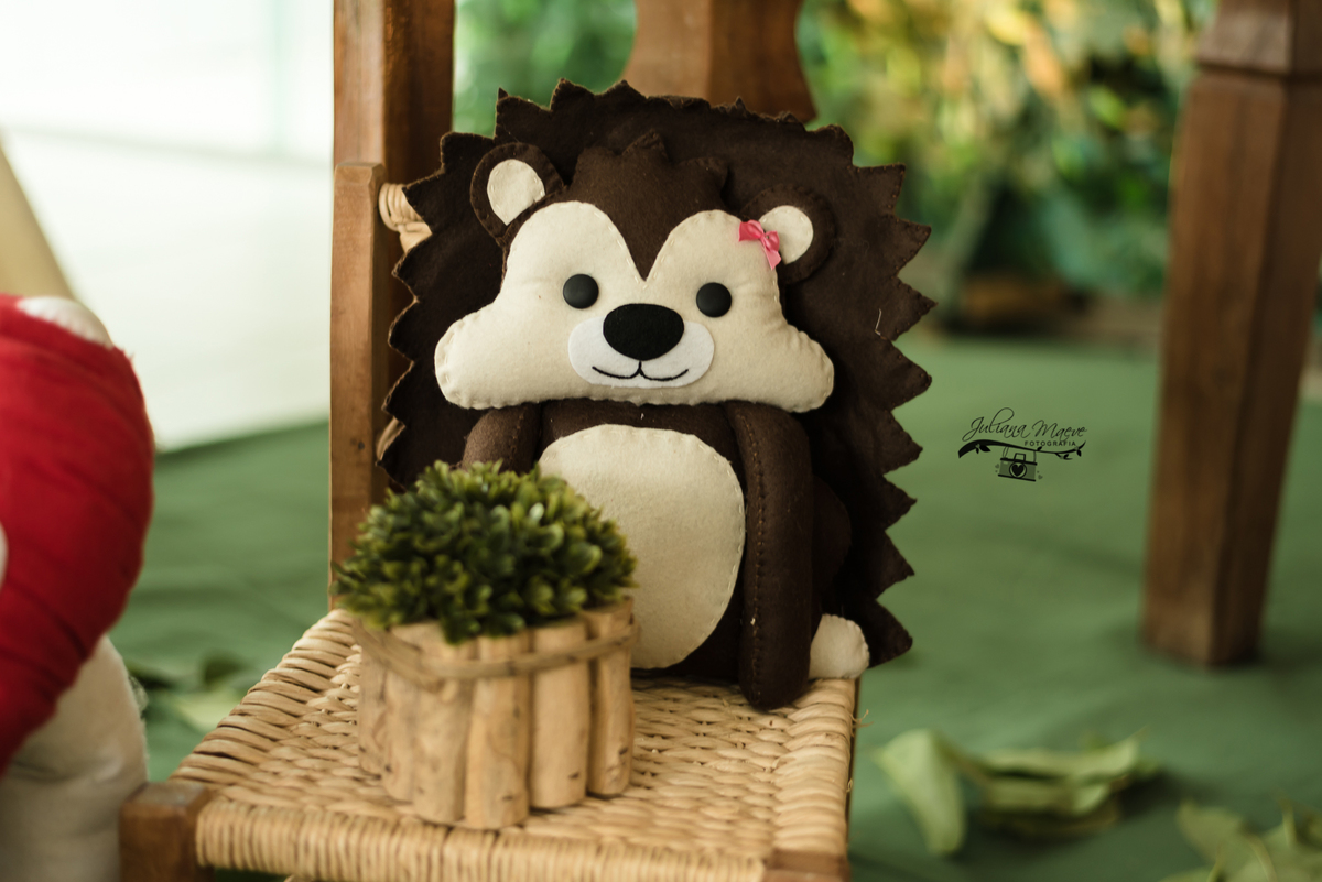 Aniversario  Infantil ouro preto, Juliana Maeve, Juliana maeve Fotografia, Fotografa de Aniversario em ouro preto,  Fotografia Aniversario Itabirito, Decorações Favo de Mel, Aniversario Infantil Itabirito