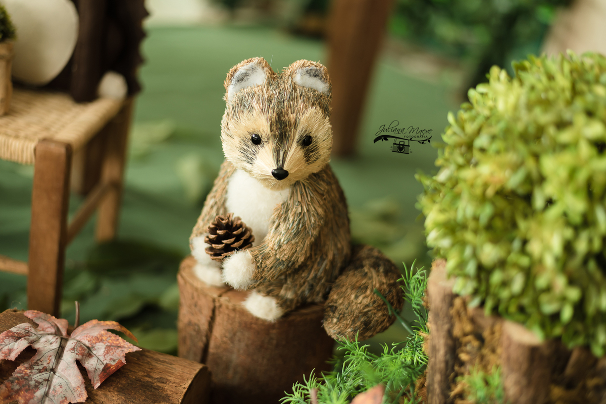 Aniversario  Infantil ouro preto, Juliana Maeve, Juliana maeve Fotografia, Fotografa de Aniversario em ouro preto,  Fotografia Aniversario Itabirito, Decorações Favo de Mel, Aniversario Infantil Itabirito