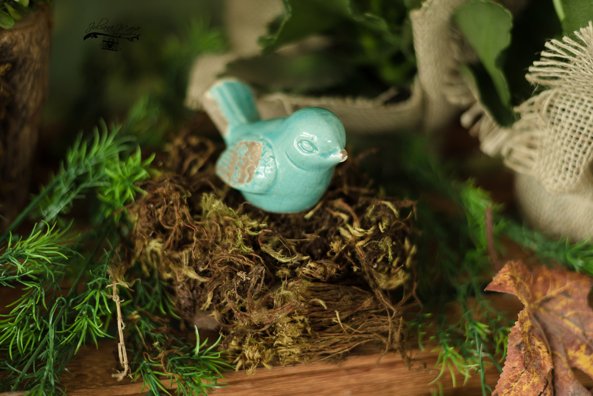 Aniversario  Infantil ouro preto, Juliana Maeve, Juliana maeve Fotografia, Fotografa de Aniversario em ouro preto,  Fotografia Aniversario Itabirito, Decorações Favo de Mel, Aniversario Infantil Itabirito