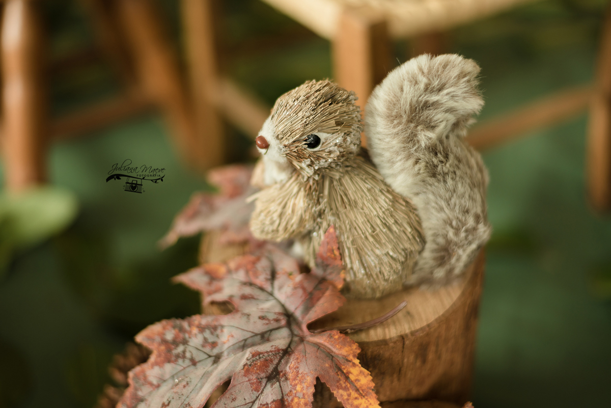 Aniversario  Infantil ouro preto, Juliana Maeve, Juliana maeve Fotografia, Fotografa de Aniversario em ouro preto,  Fotografia Aniversario Itabirito, Decorações Favo de Mel, Aniversario Infantil Itabirito