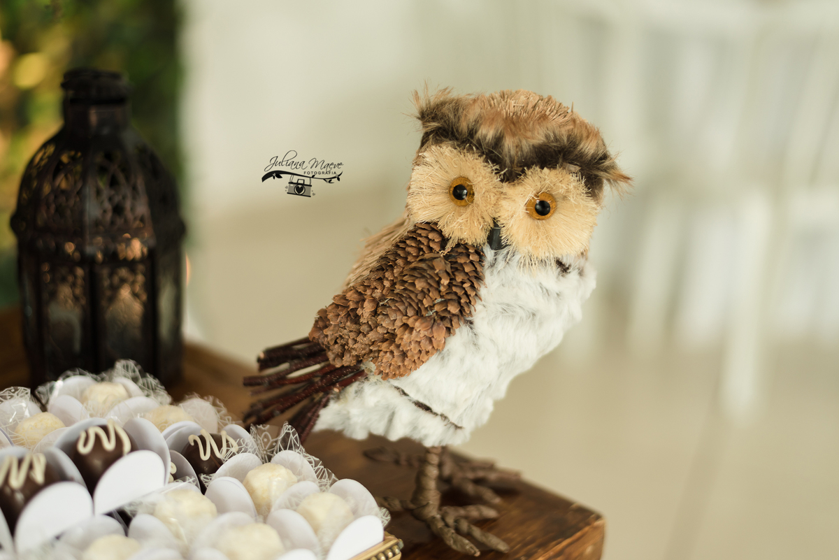 Aniversario  Infantil ouro preto, Juliana Maeve, Juliana maeve Fotografia, Fotografa de Aniversario em ouro preto,  Fotografia Aniversario Itabirito, Decorações Favo de Mel, Aniversario Infantil Itabirito