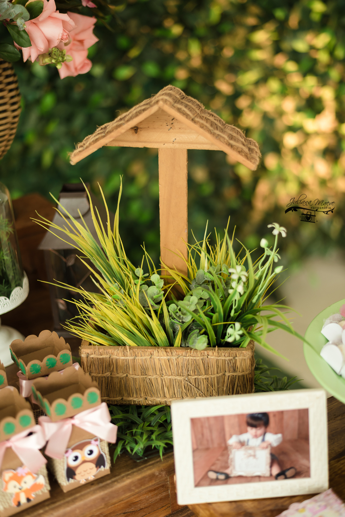 Aniversario  Infantil ouro preto, Juliana Maeve, Juliana maeve Fotografia, Fotografa de Aniversario em ouro preto,  Fotografia Aniversario Itabirito, Decorações Favo de Mel, Aniversario Infantil Itabirito