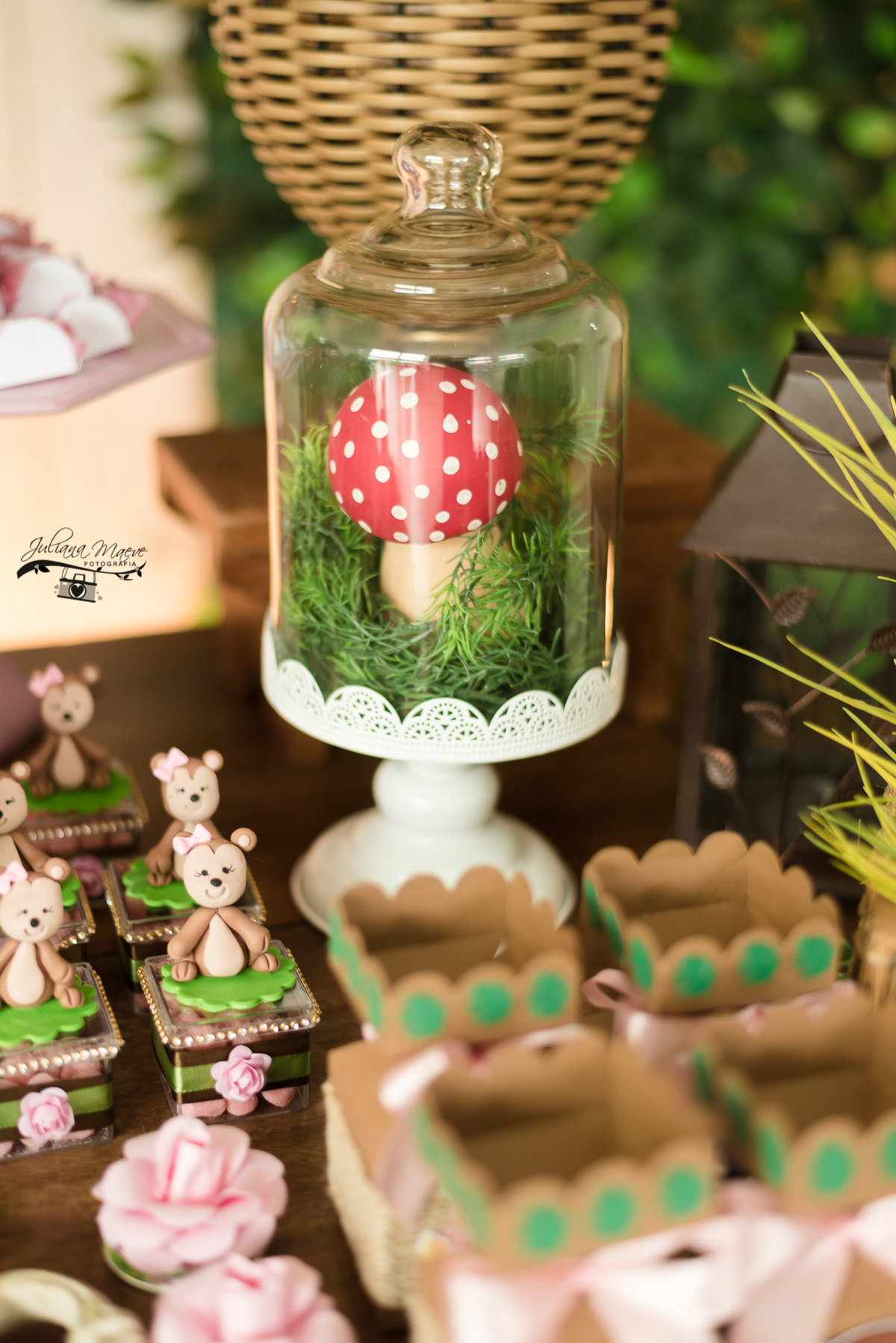 Aniversario  Infantil ouro preto, Juliana Maeve, Juliana maeve Fotografia, Fotografa de Aniversario em ouro preto,  Fotografia Aniversario Itabirito, Decorações Favo de Mel, Aniversario Infantil Itabirito