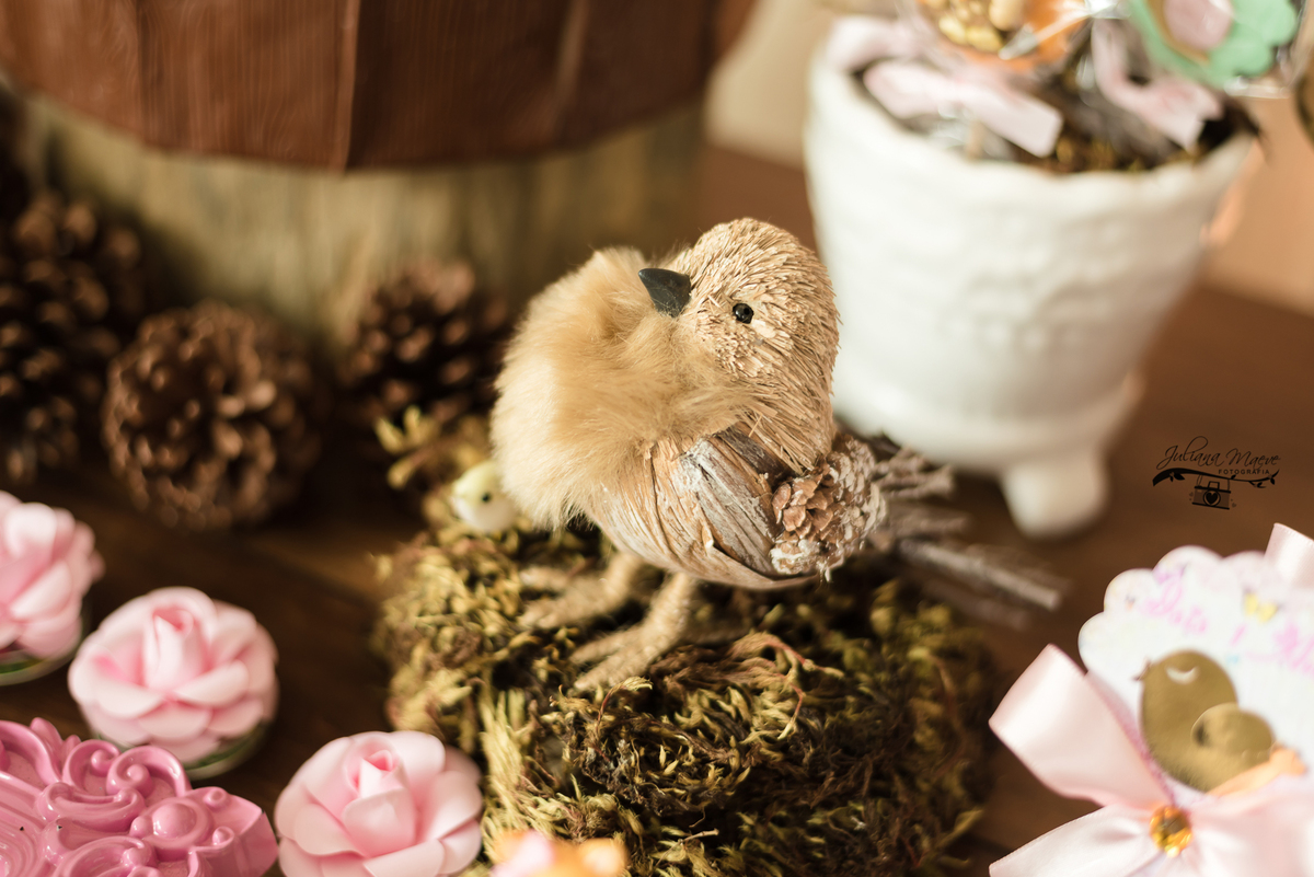 Aniversario  Infantil ouro preto, Juliana Maeve, Juliana maeve Fotografia, Fotografa de Aniversario em ouro preto,  Fotografia Aniversario Itabirito, Decorações Favo de Mel, Aniversario Infantil Itabirito