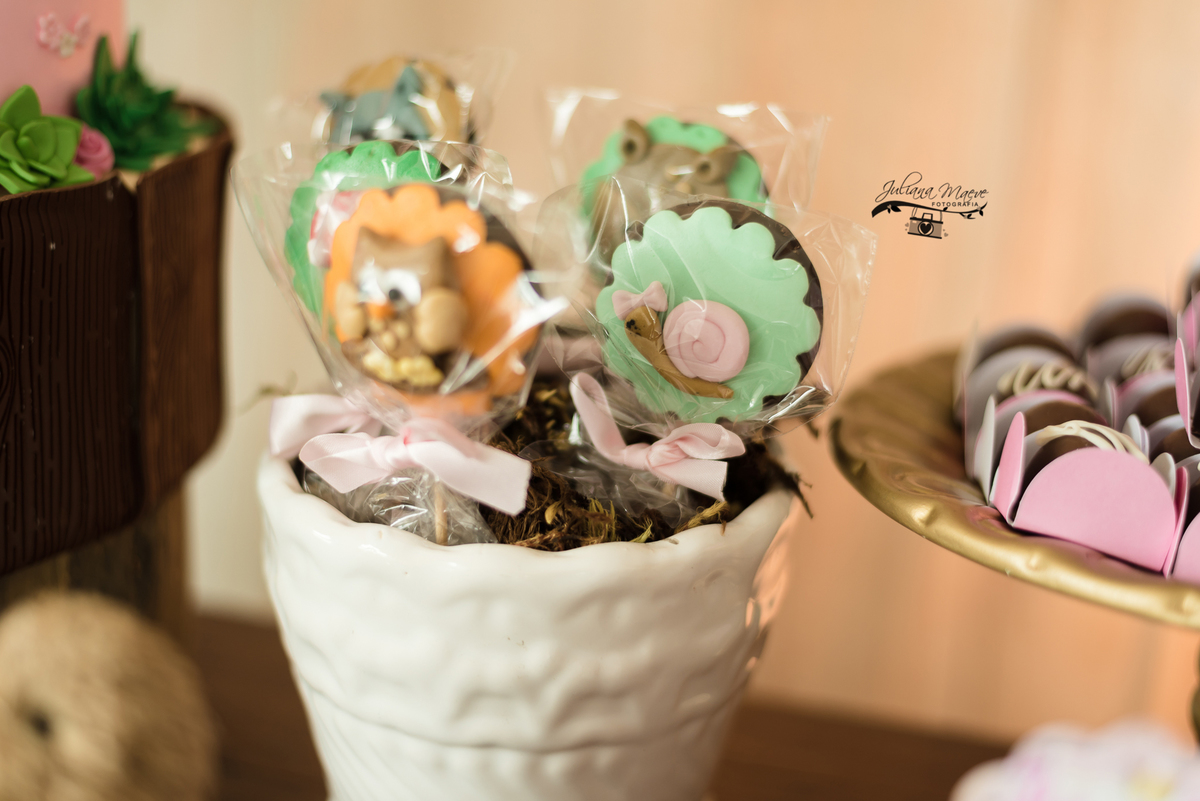 Aniversario  Infantil ouro preto, Juliana Maeve, Juliana maeve Fotografia, Fotografa de Aniversario em ouro preto,  Fotografia Aniversario Itabirito, Decorações Favo de Mel, Aniversario Infantil Itabirito