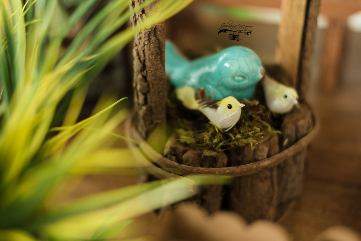 Aniversario  Infantil ouro preto, Juliana Maeve, Juliana maeve Fotografia, Fotografa de Aniversario em ouro preto,  Fotografia Aniversario Itabirito, Decorações Favo de Mel, Aniversario Infantil Itabirito