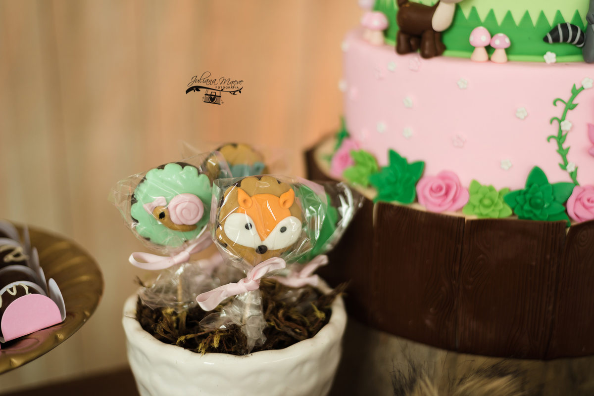 Aniversario  Infantil ouro preto, Juliana Maeve, Juliana maeve Fotografia, Fotografa de Aniversario em ouro preto,  Fotografia Aniversario Itabirito, Decorações Favo de Mel, Aniversario Infantil Itabirito