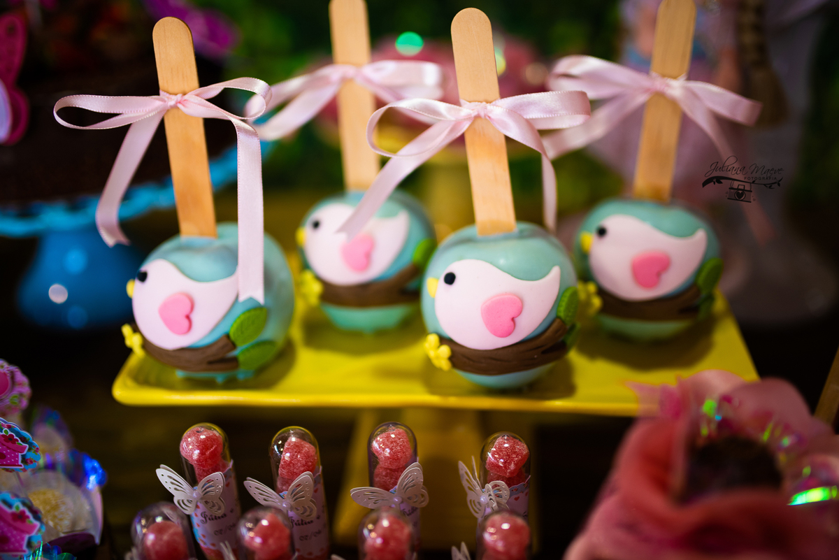 Aniversario  Infantil ouro preto, Juliana Maeve, Juliana maeve Fotografia, Fotografa de Aniversario em ouro preto, Fotografa Infantil Ouro Preto, Fotografa de bebes em Ouro Preto, Aniversario de criança em ouro Preto, fotografa de familia em ouro preto