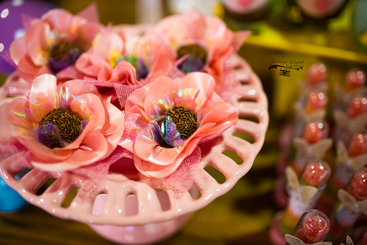 Aniversario  Infantil ouro preto, Juliana Maeve, Juliana maeve Fotografia, Fotografa de Aniversario em ouro preto, Fotografa Infantil Ouro Preto, Fotografa de bebes em Ouro Preto, Aniversario de criança em ouro Preto, fotografa de familia em ouro preto