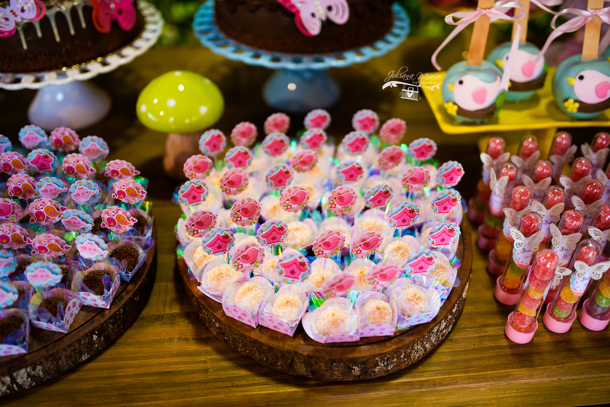 Aniversario  Infantil ouro preto, Juliana Maeve, Juliana maeve Fotografia, Fotografa de Aniversario em ouro preto, Fotografa Infantil Ouro Preto, Fotografa de bebes em Ouro Preto, Aniversario de criança em ouro Preto, fotografa de familia em ouro preto