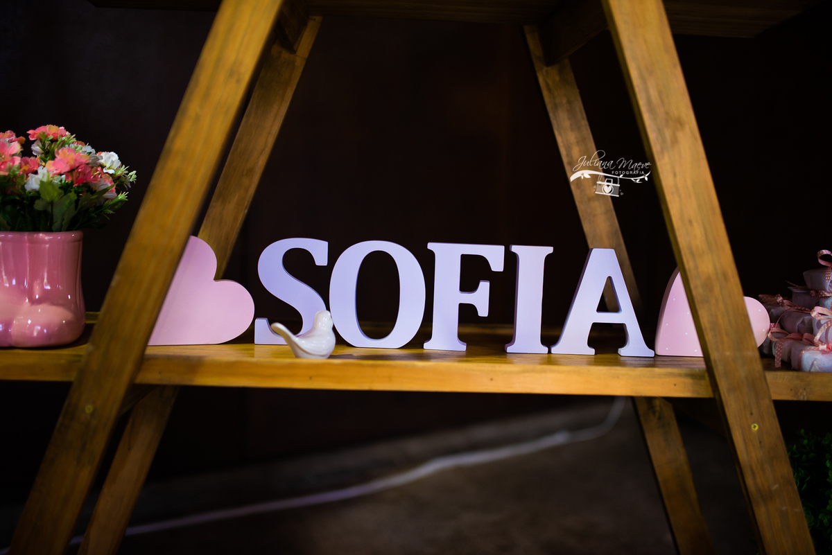 Aniversario  Infantil ouro preto, Juliana Maeve, Juliana maeve Fotografia, Fotografa de Aniversario em ouro preto, Fotografa Infantil Ouro Preto, Fotografa de bebes em Ouro Preto, Aniversario de criança em ouro Preto, fotografa de familia em ouro preto