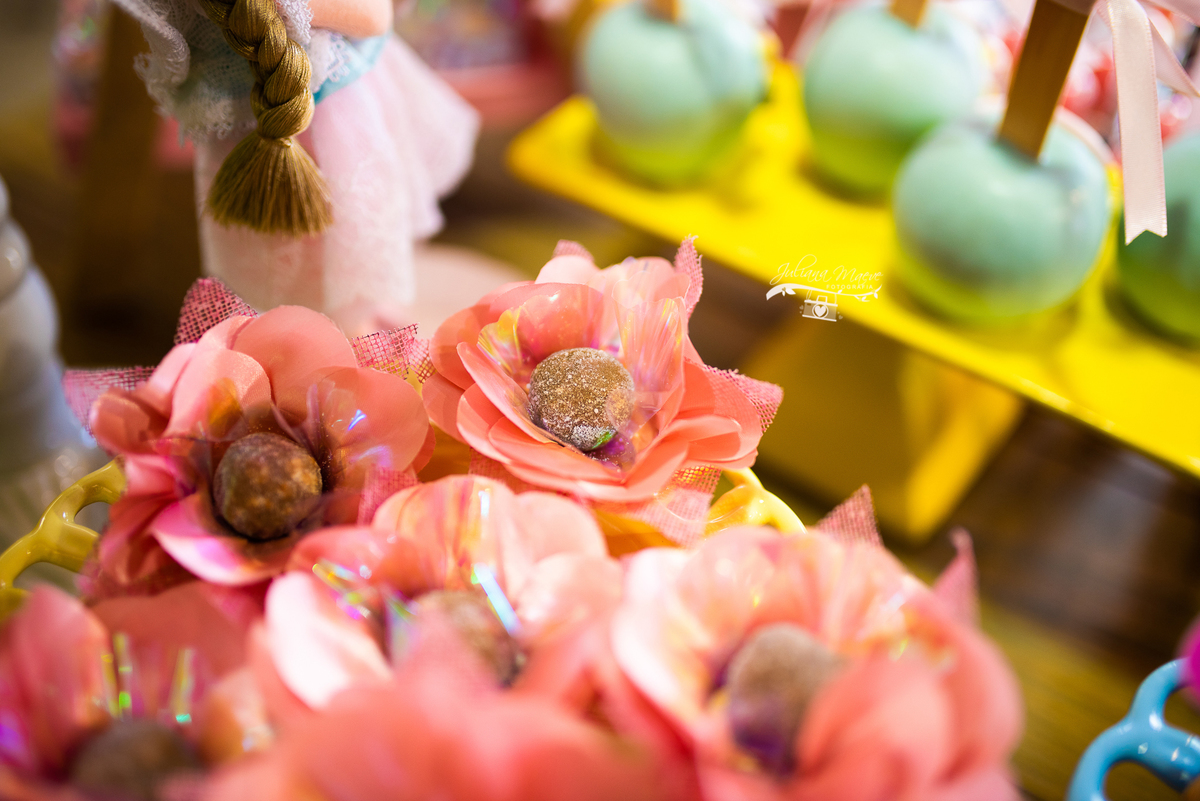 Aniversario  Infantil ouro preto, Juliana Maeve, Juliana maeve Fotografia, Fotografa de Aniversario em ouro preto, Fotografa Infantil Ouro Preto, Fotografa de bebes em Ouro Preto, Aniversario de criança em ouro Preto, fotografa de familia em ouro preto