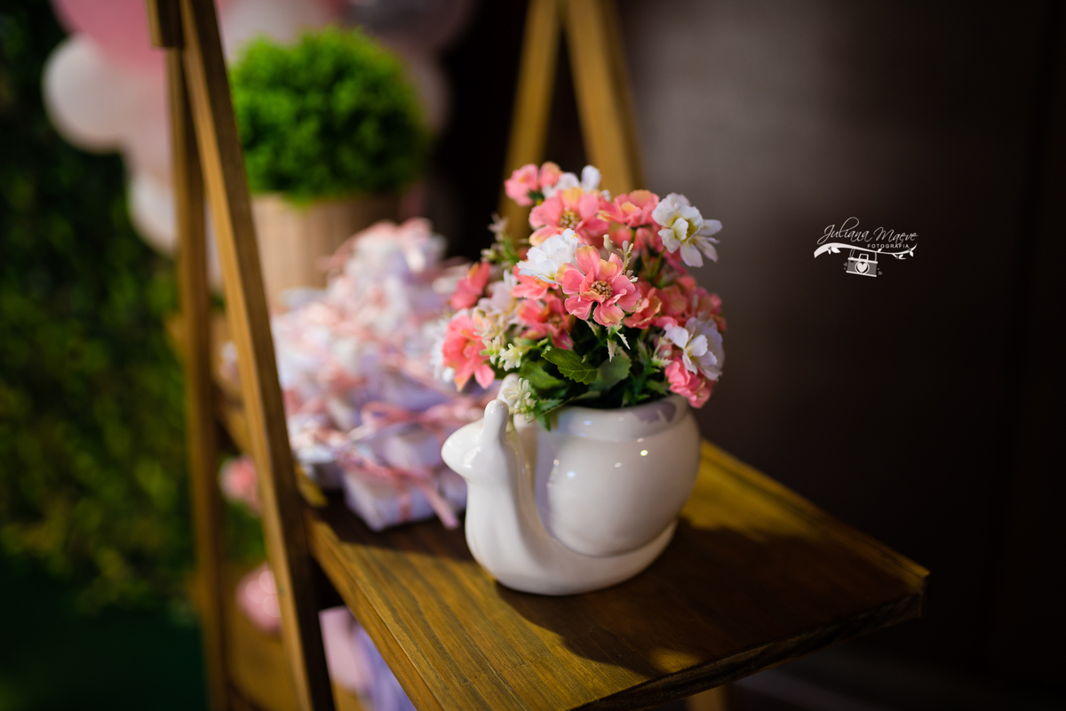 Aniversario  Infantil ouro preto, Juliana Maeve, Juliana maeve Fotografia, Fotografa de Aniversario em ouro preto, Fotografa Infantil Ouro Preto, Fotografa de bebes em Ouro Preto, Aniversario de criança em ouro Preto, fotografa de familia em ouro preto