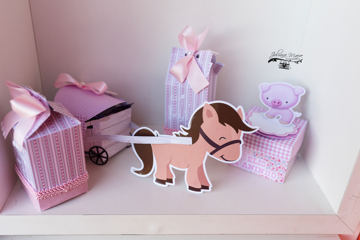 Aniversario  Infantil ouro preto, Juliana Maeve, Juliana maeve Fotografia, Fotografa de Aniversario em ouro preto, Fotografa Infantil Ouro Preto, Fotografa de bebes em Ouro Preto, Aniversario de criança em ouro Preto, fotografa de familia em ouro preto