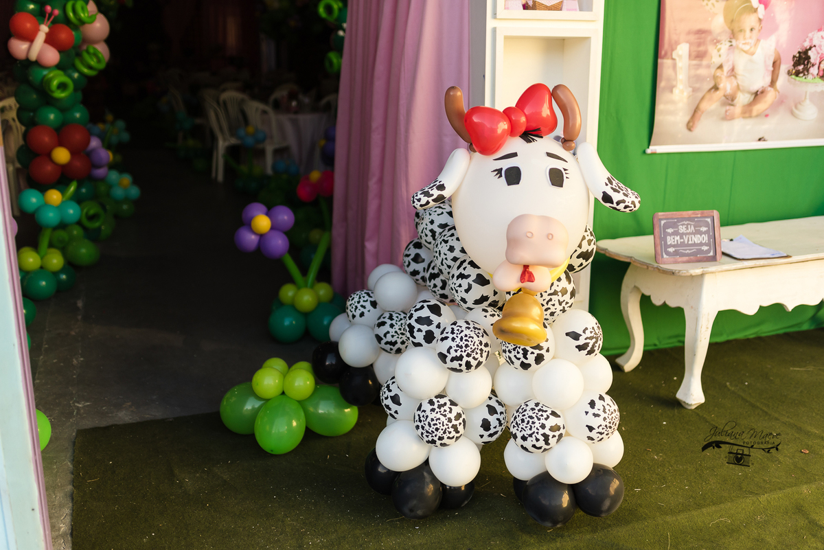 Aniversario  Infantil ouro preto, Juliana Maeve, Juliana maeve Fotografia, Fotografa de Aniversario em ouro preto, Fotografa Infantil Ouro Preto, Fotografa de bebes em Ouro Preto, Aniversario de criança em ouro Preto, fotografa de familia em ouro preto