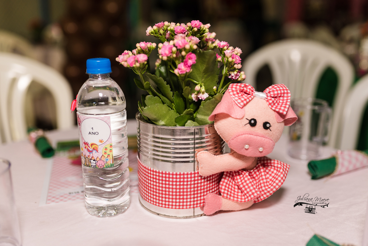 Aniversario  Infantil ouro preto, Juliana Maeve, Juliana maeve Fotografia, Fotografa de Aniversario em ouro preto, Fotografa Infantil Ouro Preto, Fotografa de bebes em Ouro Preto, Aniversario de criança em ouro Preto, fotografa de familia em ouro preto