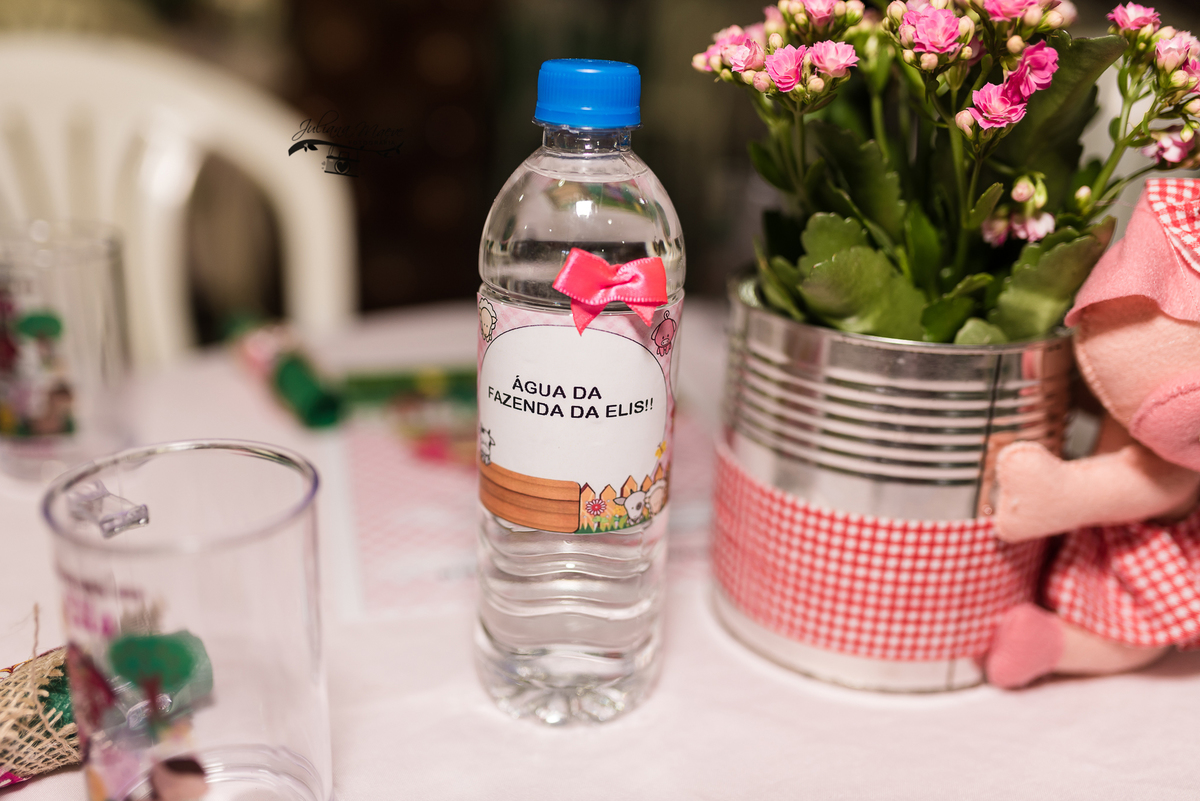 Aniversario  Infantil ouro preto, Juliana Maeve, Juliana maeve Fotografia, Fotografa de Aniversario em ouro preto, Fotografa Infantil Ouro Preto, Fotografa de bebes em Ouro Preto, Aniversario de criança em ouro Preto, fotografa de familia em ouro preto