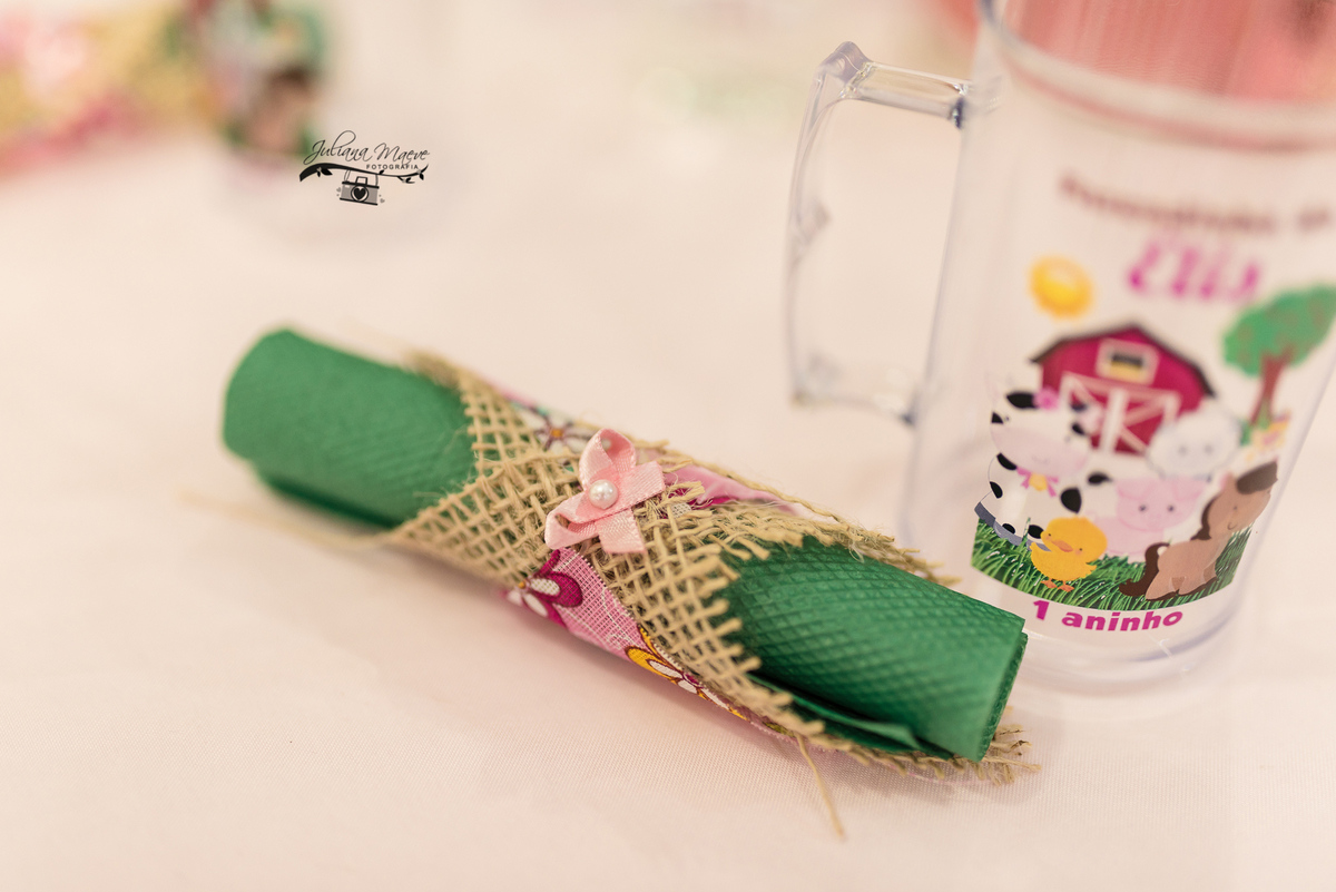 Aniversario  Infantil ouro preto, Juliana Maeve, Juliana maeve Fotografia, Fotografa de Aniversario em ouro preto, Fotografa Infantil Ouro Preto, Fotografa de bebes em Ouro Preto, Aniversario de criança em ouro Preto, fotografa de familia em ouro preto