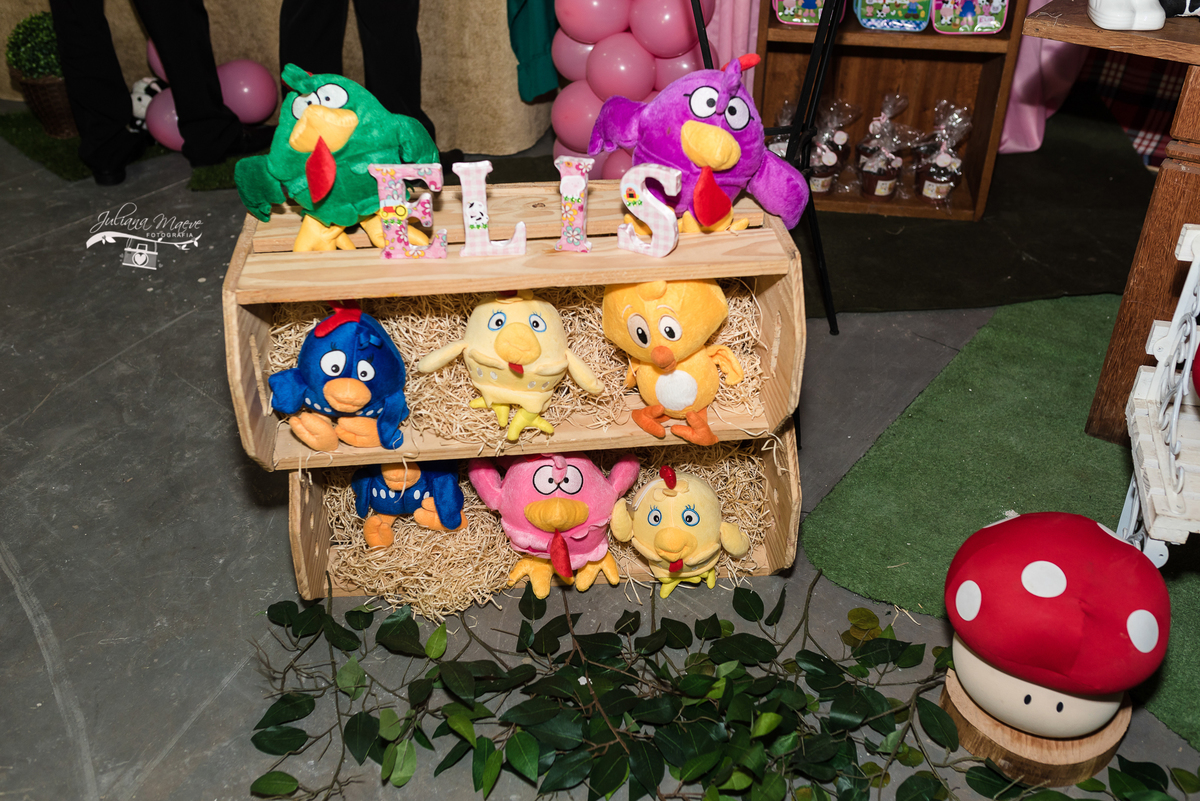 Aniversario  Infantil ouro preto, Juliana Maeve, Juliana maeve Fotografia, Fotografa de Aniversario em ouro preto, Fotografa Infantil Ouro Preto, Fotografa de bebes em Ouro Preto, Aniversario de criança em ouro Preto, fotografa de familia em ouro preto