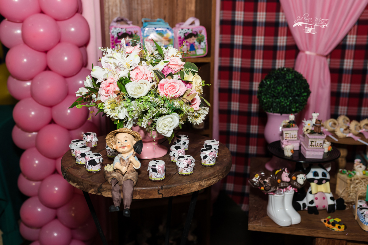 Aniversario  Infantil ouro preto, Juliana Maeve, Juliana maeve Fotografia, Fotografa de Aniversario em ouro preto, Fotografa Infantil Ouro Preto, Fotografa de bebes em Ouro Preto, Aniversario de criança em ouro Preto, fotografa de familia em ouro preto