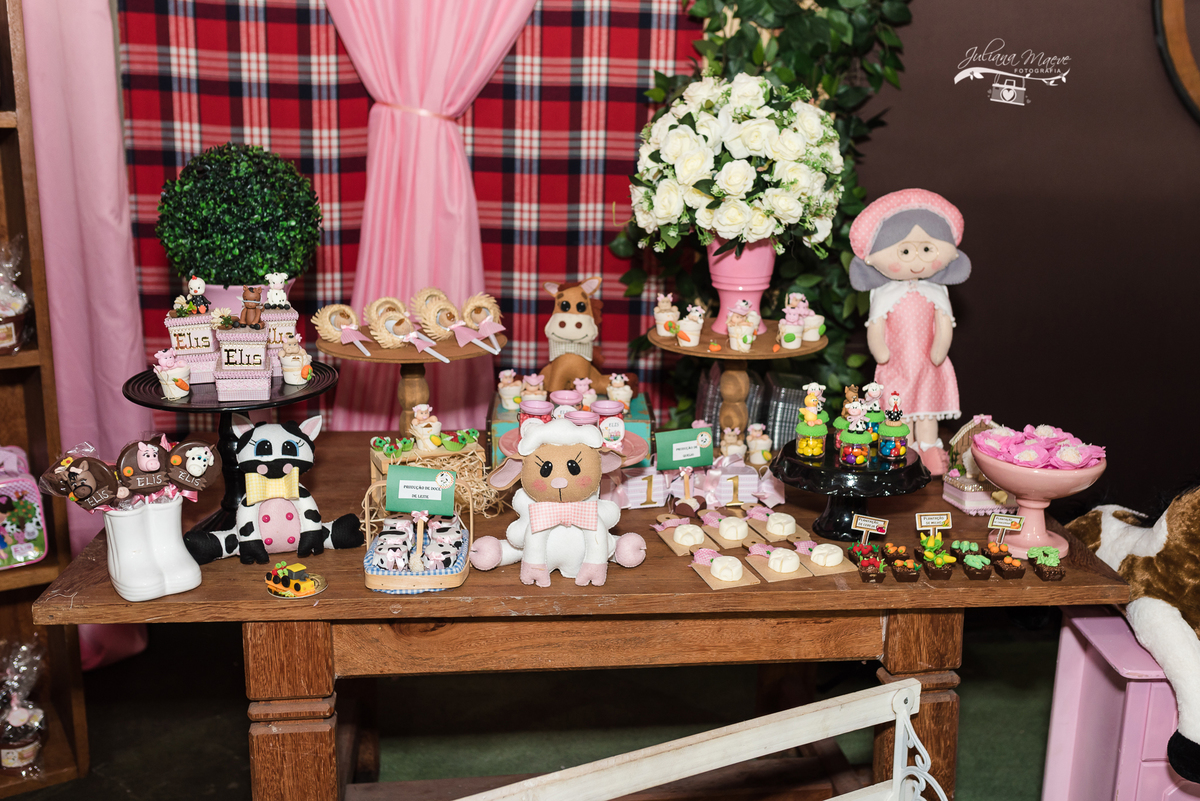 Aniversario  Infantil ouro preto, Juliana Maeve, Juliana maeve Fotografia, Fotografa de Aniversario em ouro preto, Fotografa Infantil Ouro Preto, Fotografa de bebes em Ouro Preto, Aniversario de criança em ouro Preto, fotografa de familia em ouro preto