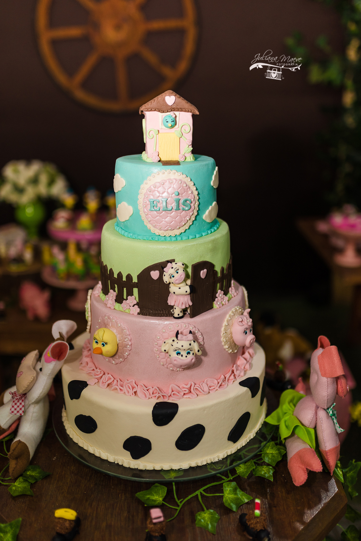 Aniversario  Infantil ouro preto, Juliana Maeve, Juliana maeve Fotografia, Fotografa de Aniversario em ouro preto, Fotografa Infantil Ouro Preto, Fotografa de bebes em Ouro Preto, Aniversario de criança em ouro Preto, fotografa de familia em ouro preto