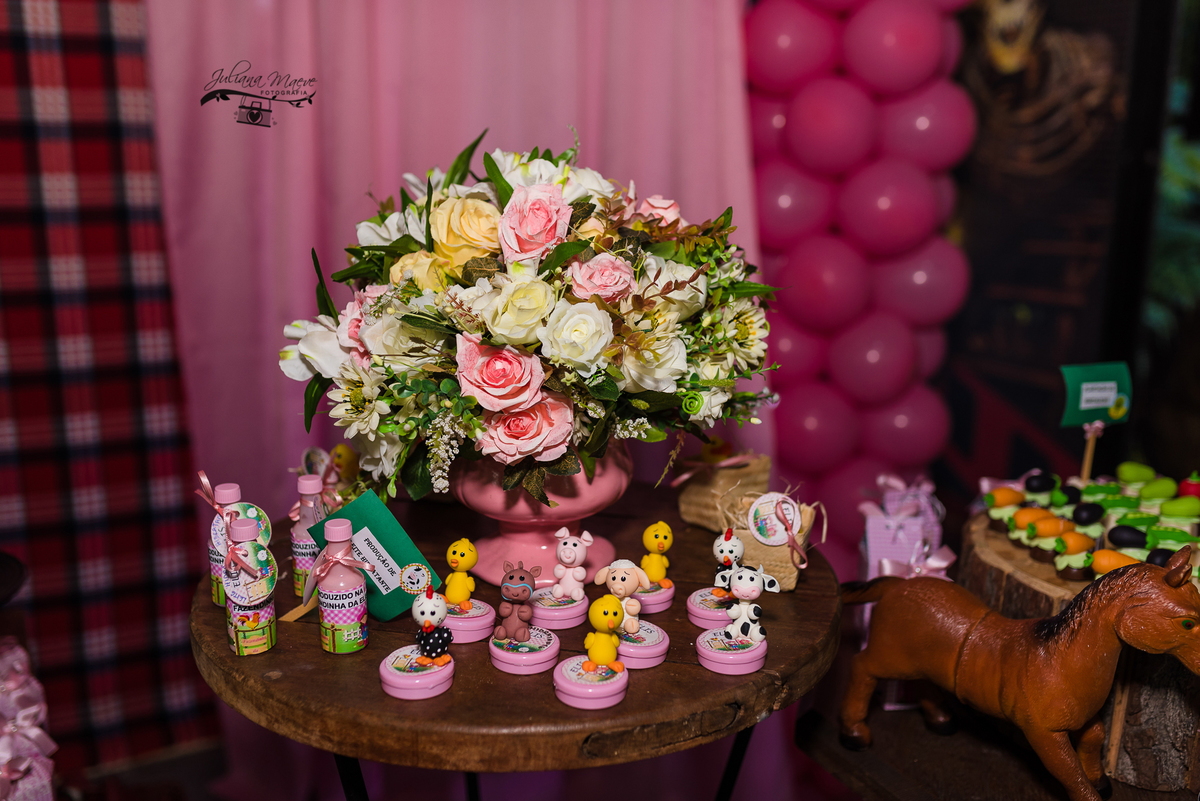 Aniversario  Infantil ouro preto, Juliana Maeve, Juliana maeve Fotografia, Fotografa de Aniversario em ouro preto, Fotografa Infantil Ouro Preto, Fotografa de bebes em Ouro Preto, Aniversario de criança em ouro Preto, fotografa de familia em ouro preto