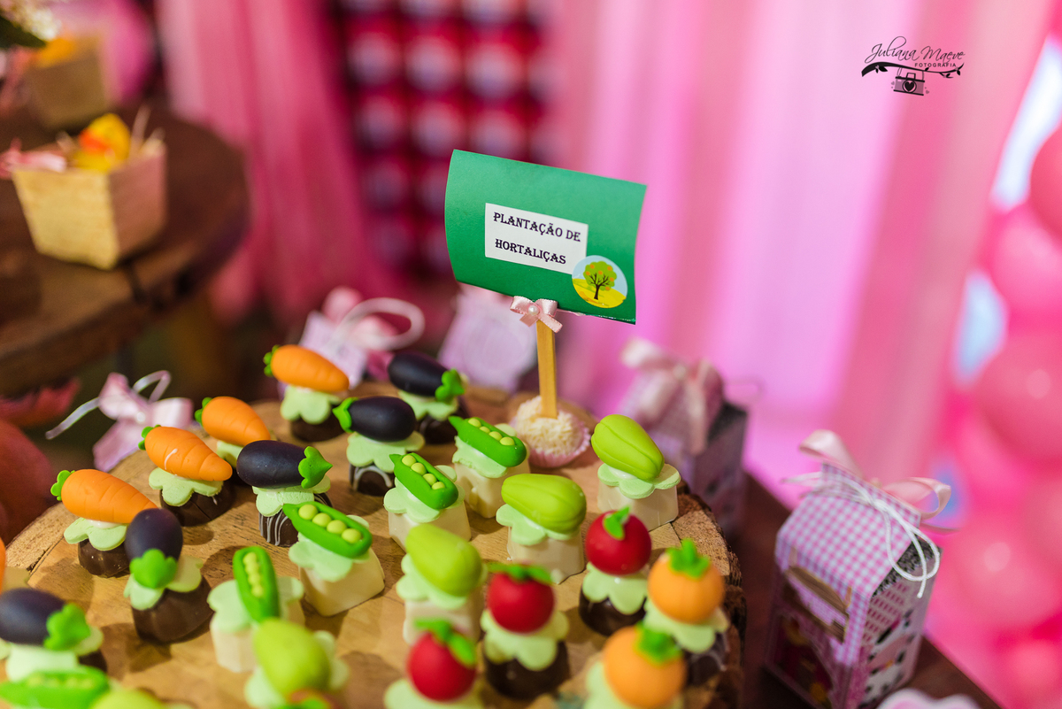 Aniversario  Infantil ouro preto, Juliana Maeve, Juliana maeve Fotografia, Fotografa de Aniversario em ouro preto, Fotografa Infantil Ouro Preto, Fotografa de bebes em Ouro Preto, Aniversario de criança em ouro Preto, fotografa de familia em ouro preto