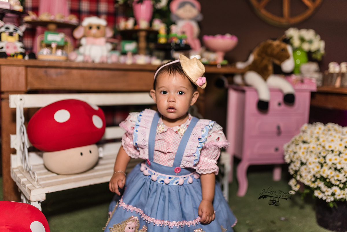 Aniversario  Infantil ouro preto, Juliana Maeve, Juliana maeve Fotografia, Fotografa de Aniversario em ouro preto, Fotografa Infantil Ouro Preto, Fotografa de bebes em Ouro Preto, Aniversario de criança em ouro Preto, fotografa de familia em ouro preto