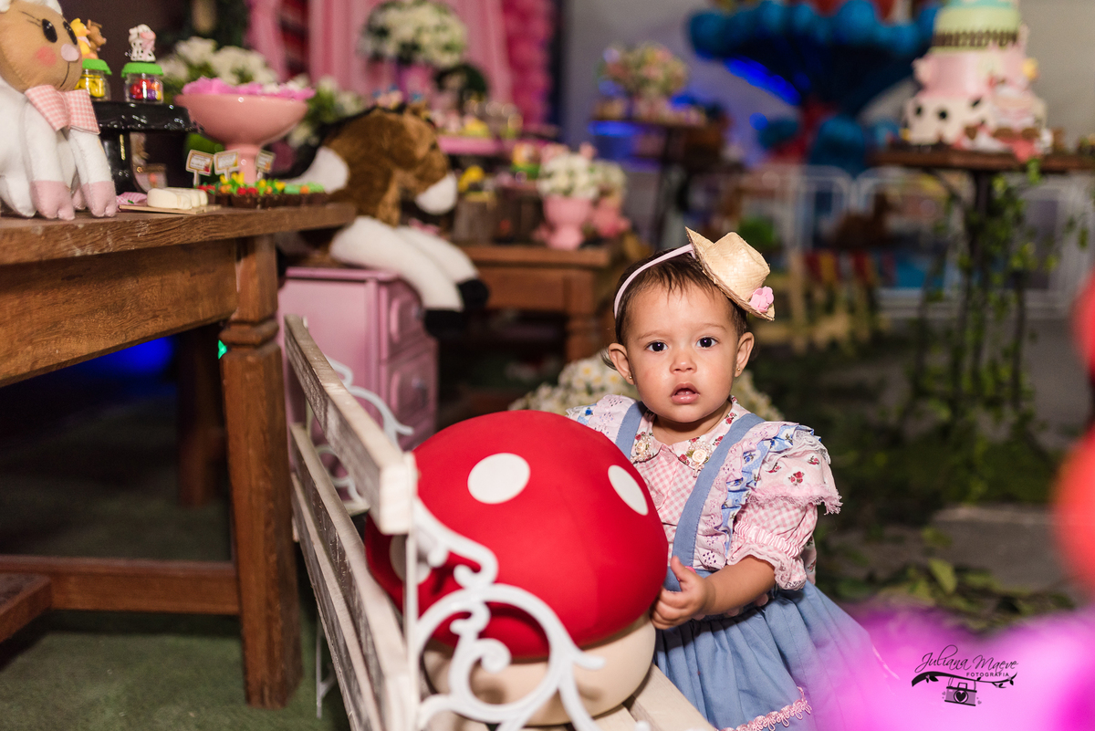 Aniversario  Infantil ouro preto, Juliana Maeve, Juliana maeve Fotografia, Fotografa de Aniversario em ouro preto, Fotografa Infantil Ouro Preto, Fotografa de bebes em Ouro Preto, Aniversario de criança em ouro Preto, fotografa de familia em ouro preto