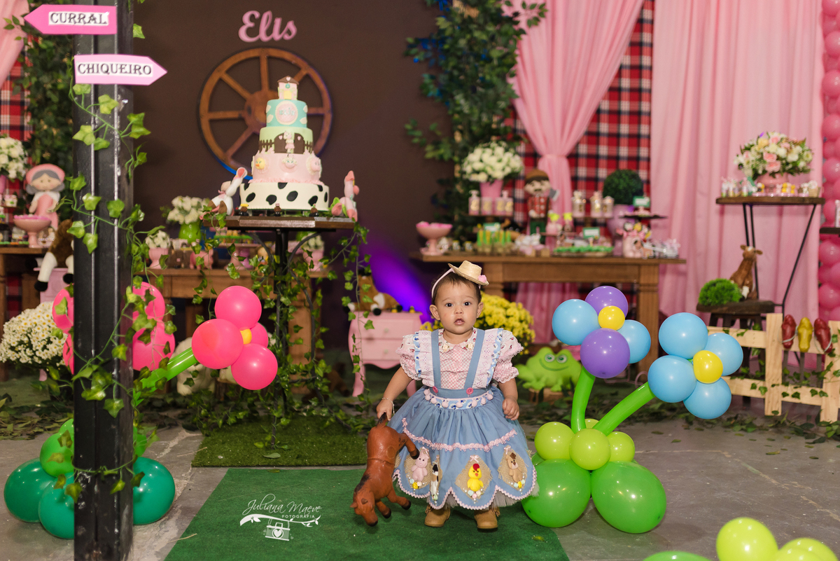 Aniversario  Infantil ouro preto, Juliana Maeve, Juliana maeve Fotografia, Fotografa de Aniversario em ouro preto, Fotografa Infantil Ouro Preto, Fotografa de bebes em Ouro Preto, Aniversario de criança em ouro Preto, fotografa de familia em ouro preto