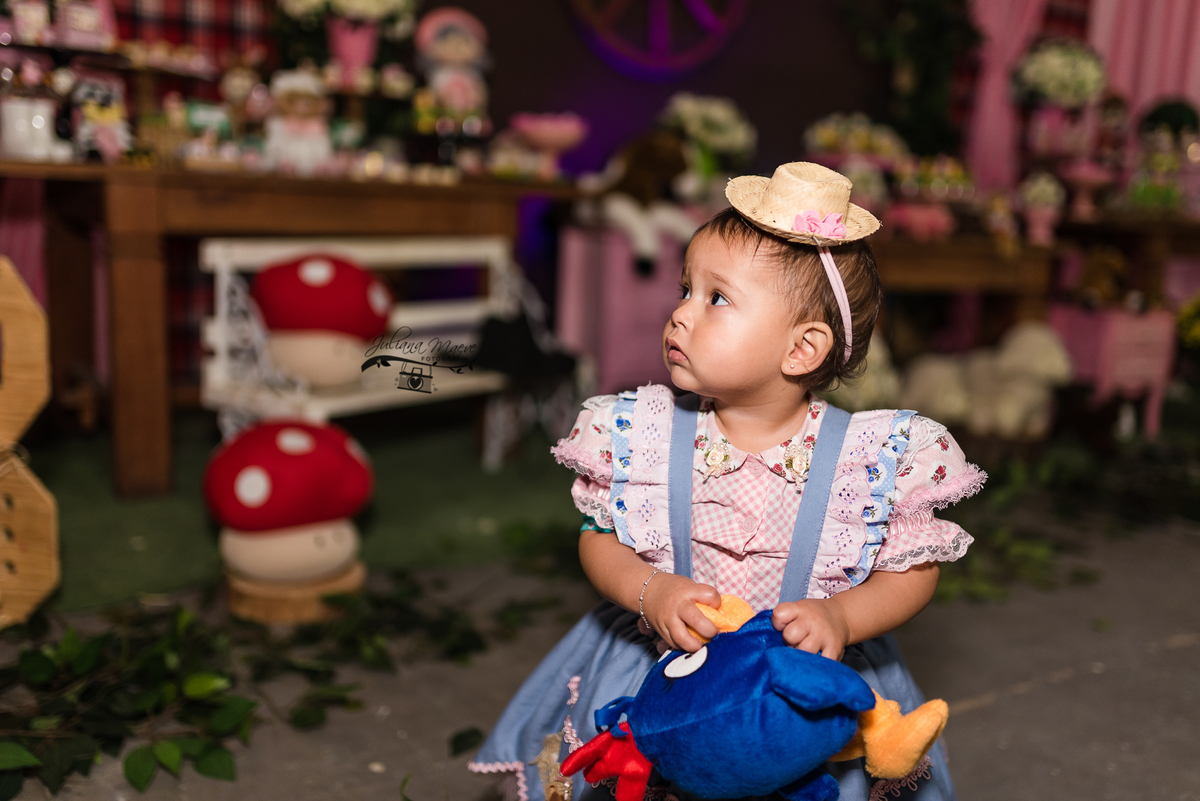 Aniversario  Infantil ouro preto, Juliana Maeve, Juliana maeve Fotografia, Fotografa de Aniversario em ouro preto, Fotografa Infantil Ouro Preto, Fotografa de bebes em Ouro Preto, Aniversario de criança em ouro Preto, fotografa de familia em ouro preto