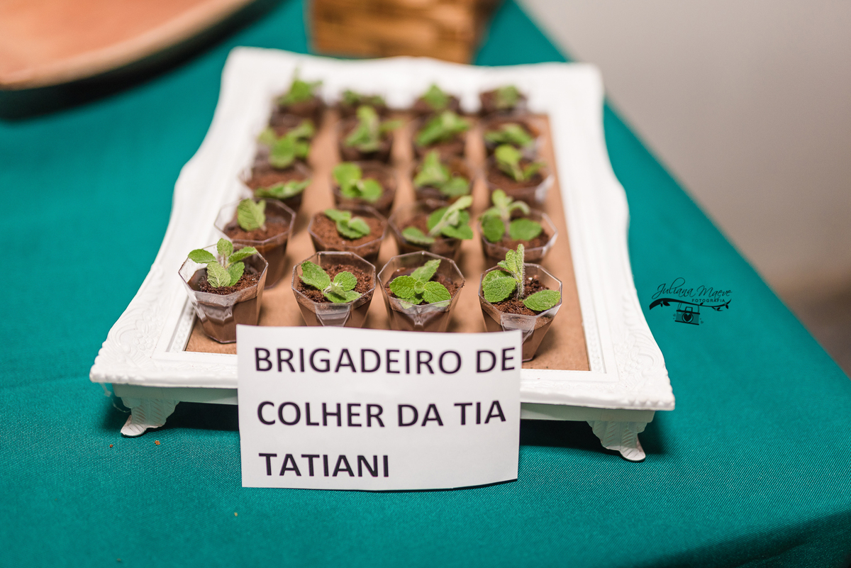 Aniversario  Infantil ouro preto, Juliana Maeve, Juliana maeve Fotografia, Fotografa de Aniversario em ouro preto, Fotografa Infantil Ouro Preto, Fotografa de bebes em Ouro Preto, Aniversario de criança em ouro Preto, fotografa de familia em ouro preto