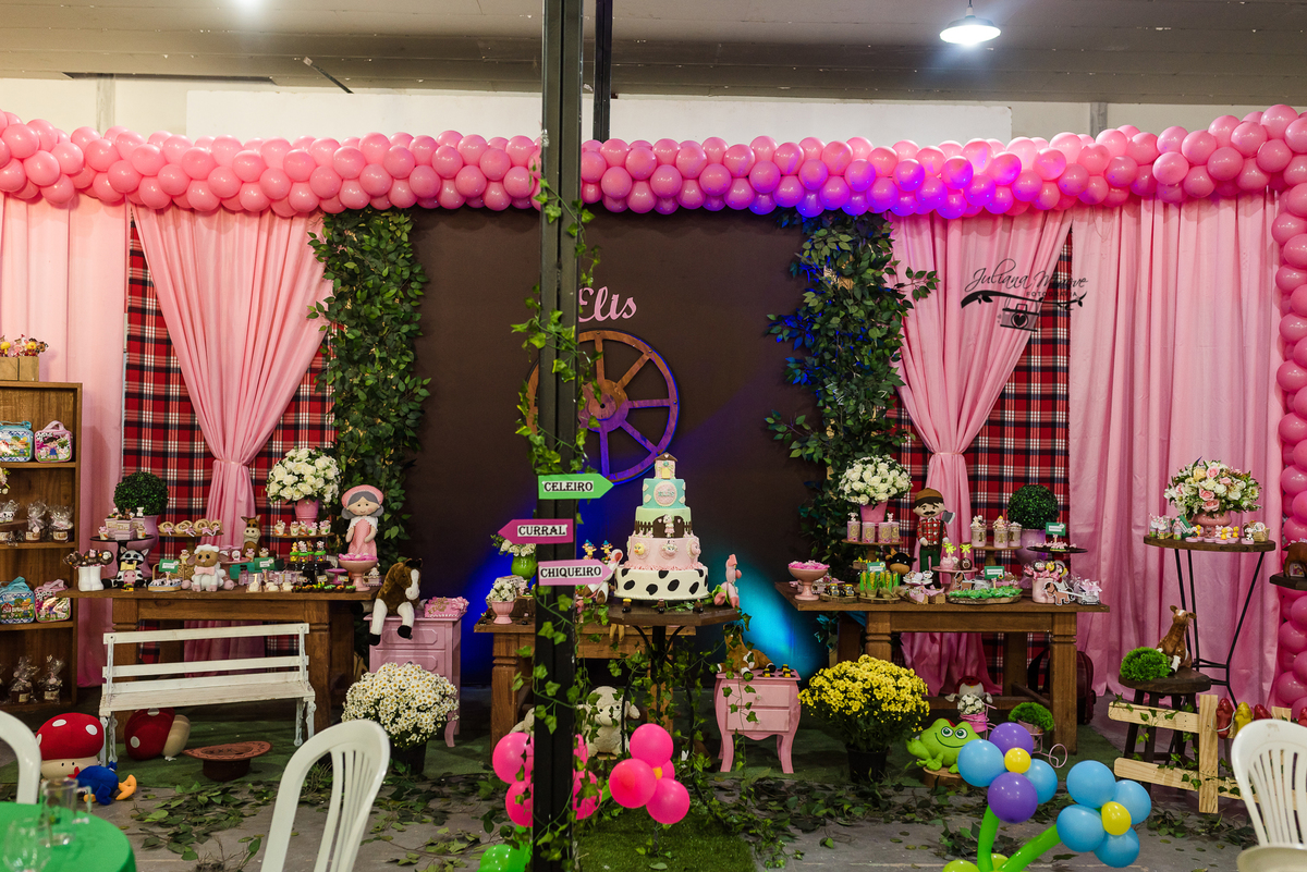 Aniversario  Infantil ouro preto, Juliana Maeve, Juliana maeve Fotografia, Fotografa de Aniversario em ouro preto, Fotografa Infantil Ouro Preto, Fotografa de bebes em Ouro Preto, Aniversario de criança em ouro Preto, fotografa de familia em ouro preto