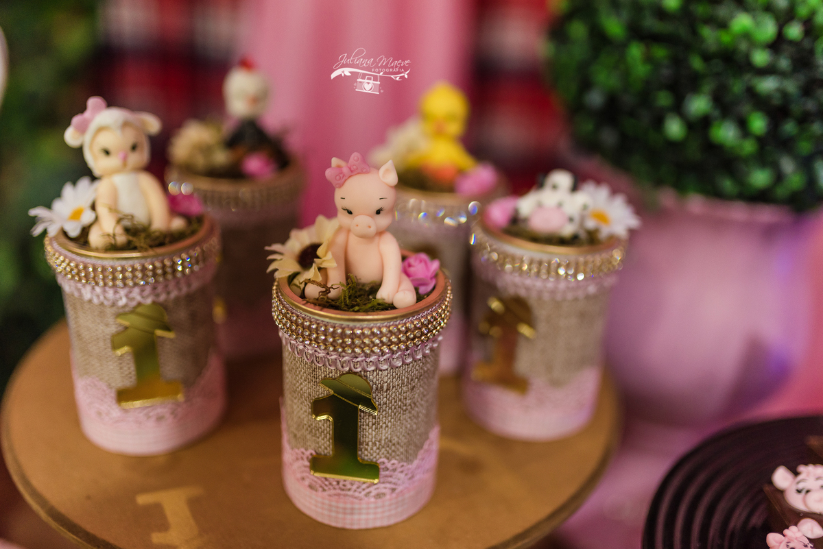 Aniversario  Infantil ouro preto, Juliana Maeve, Juliana maeve Fotografia, Fotografa de Aniversario em ouro preto, Fotografa Infantil Ouro Preto, Fotografa de bebes em Ouro Preto, Aniversario de criança em ouro Preto, fotografa de familia em ouro preto