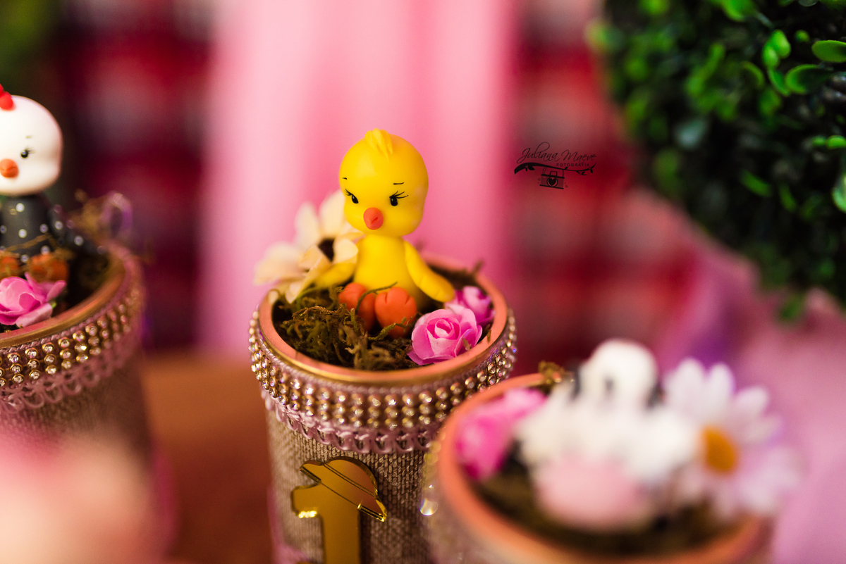 Aniversario  Infantil ouro preto, Juliana Maeve, Juliana maeve Fotografia, Fotografa de Aniversario em ouro preto, Fotografa Infantil Ouro Preto, Fotografa de bebes em Ouro Preto, Aniversario de criança em ouro Preto, fotografa de familia em ouro preto