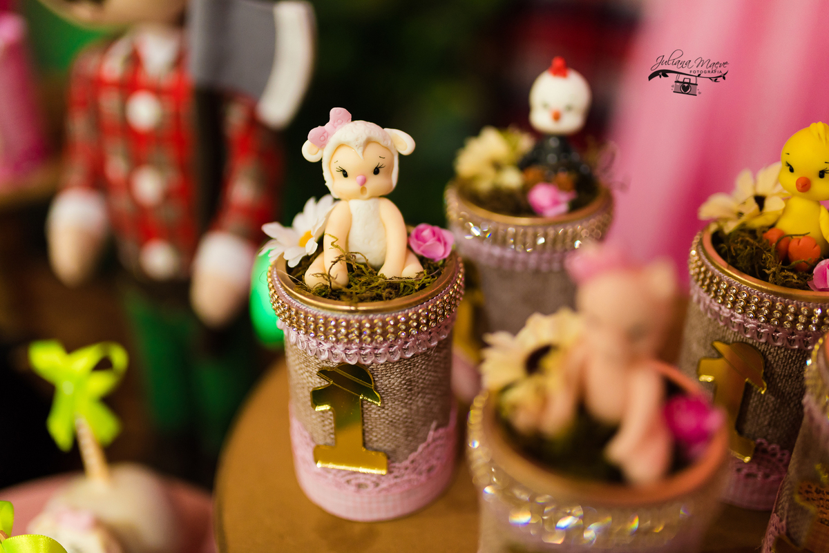 Aniversario  Infantil ouro preto, Juliana Maeve, Juliana maeve Fotografia, Fotografa de Aniversario em ouro preto, Fotografa Infantil Ouro Preto, Fotografa de bebes em Ouro Preto, Aniversario de criança em ouro Preto, fotografa de familia em ouro preto