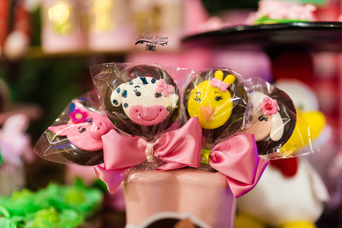 Aniversario  Infantil ouro preto, Juliana Maeve, Juliana maeve Fotografia, Fotografa de Aniversario em ouro preto, Fotografa Infantil Ouro Preto, Fotografa de bebes em Ouro Preto, Aniversario de criança em ouro Preto, fotografa de familia em ouro preto