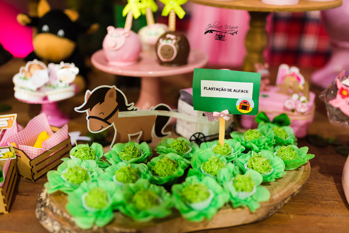 Aniversario  Infantil ouro preto, Juliana Maeve, Juliana maeve Fotografia, Fotografa de Aniversario em ouro preto, Fotografa Infantil Ouro Preto, Fotografa de bebes em Ouro Preto, Aniversario de criança em ouro Preto, fotografa de familia em ouro preto