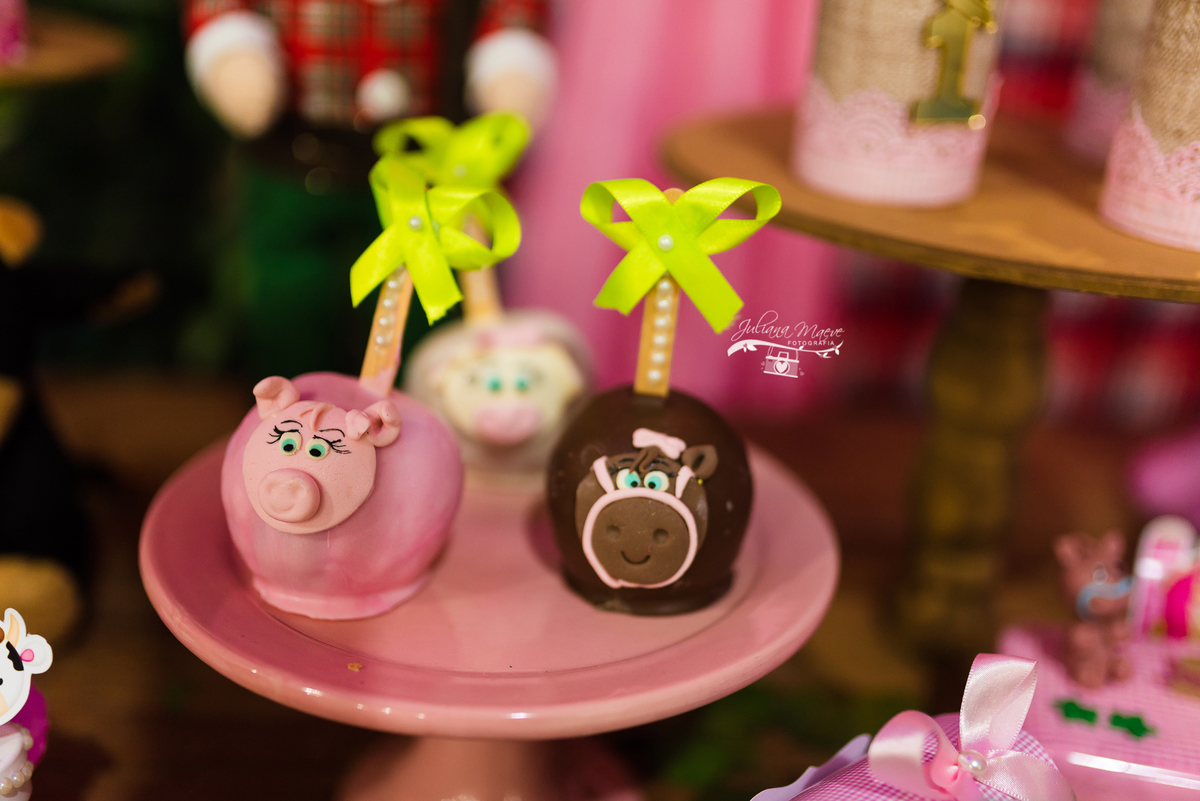 Aniversario  Infantil ouro preto, Juliana Maeve, Juliana maeve Fotografia, Fotografa de Aniversario em ouro preto, Fotografa Infantil Ouro Preto, Fotografa de bebes em Ouro Preto, Aniversario de criança em ouro Preto, fotografa de familia em ouro preto