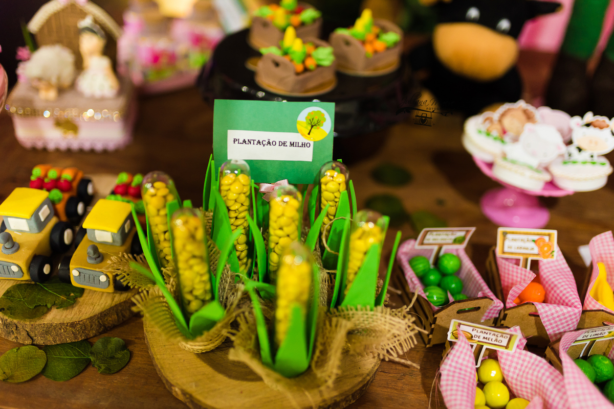 Aniversario  Infantil ouro preto, Juliana Maeve, Juliana maeve Fotografia, Fotografa de Aniversario em ouro preto, Fotografa Infantil Ouro Preto, Fotografa de bebes em Ouro Preto, Aniversario de criança em ouro Preto, fotografa de familia em ouro preto