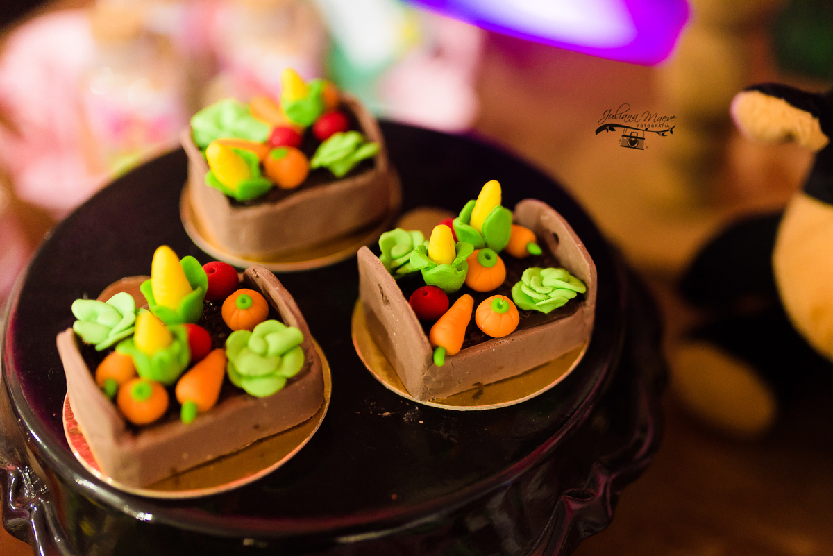 Aniversario  Infantil ouro preto, Juliana Maeve, Juliana maeve Fotografia, Fotografa de Aniversario em ouro preto, Fotografa Infantil Ouro Preto, Fotografa de bebes em Ouro Preto, Aniversario de criança em ouro Preto, fotografa de familia em ouro preto