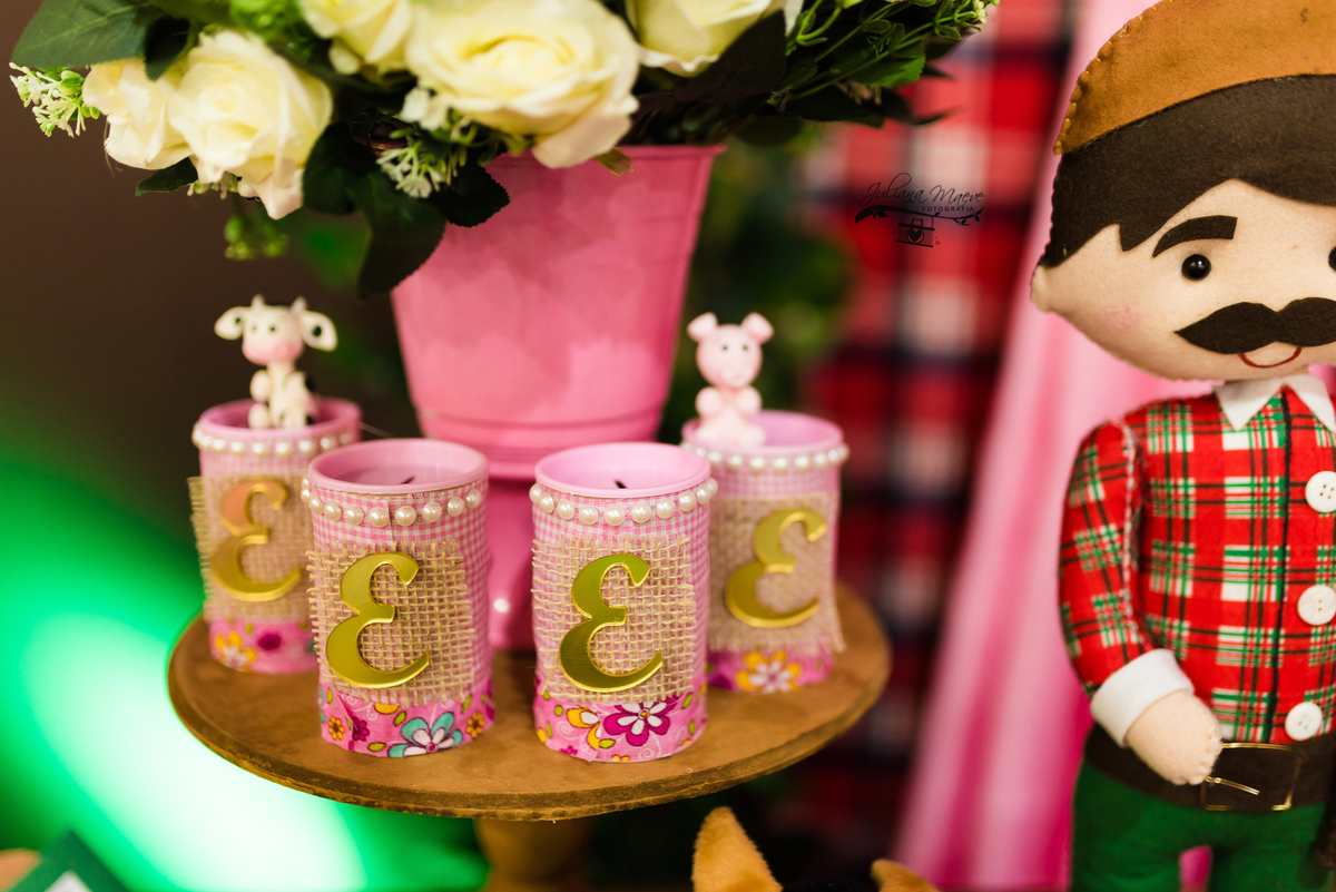 Aniversario  Infantil ouro preto, Juliana Maeve, Juliana maeve Fotografia, Fotografa de Aniversario em ouro preto, Fotografa Infantil Ouro Preto, Fotografa de bebes em Ouro Preto, Aniversario de criança em ouro Preto, fotografa de familia em ouro preto