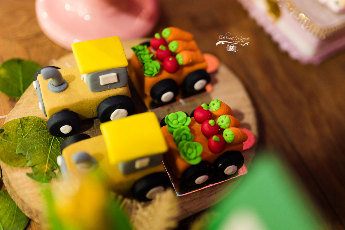 Aniversario  Infantil ouro preto, Juliana Maeve, Juliana maeve Fotografia, Fotografa de Aniversario em ouro preto, Fotografa Infantil Ouro Preto, Fotografa de bebes em Ouro Preto, Aniversario de criança em ouro Preto, fotografa de familia em ouro preto