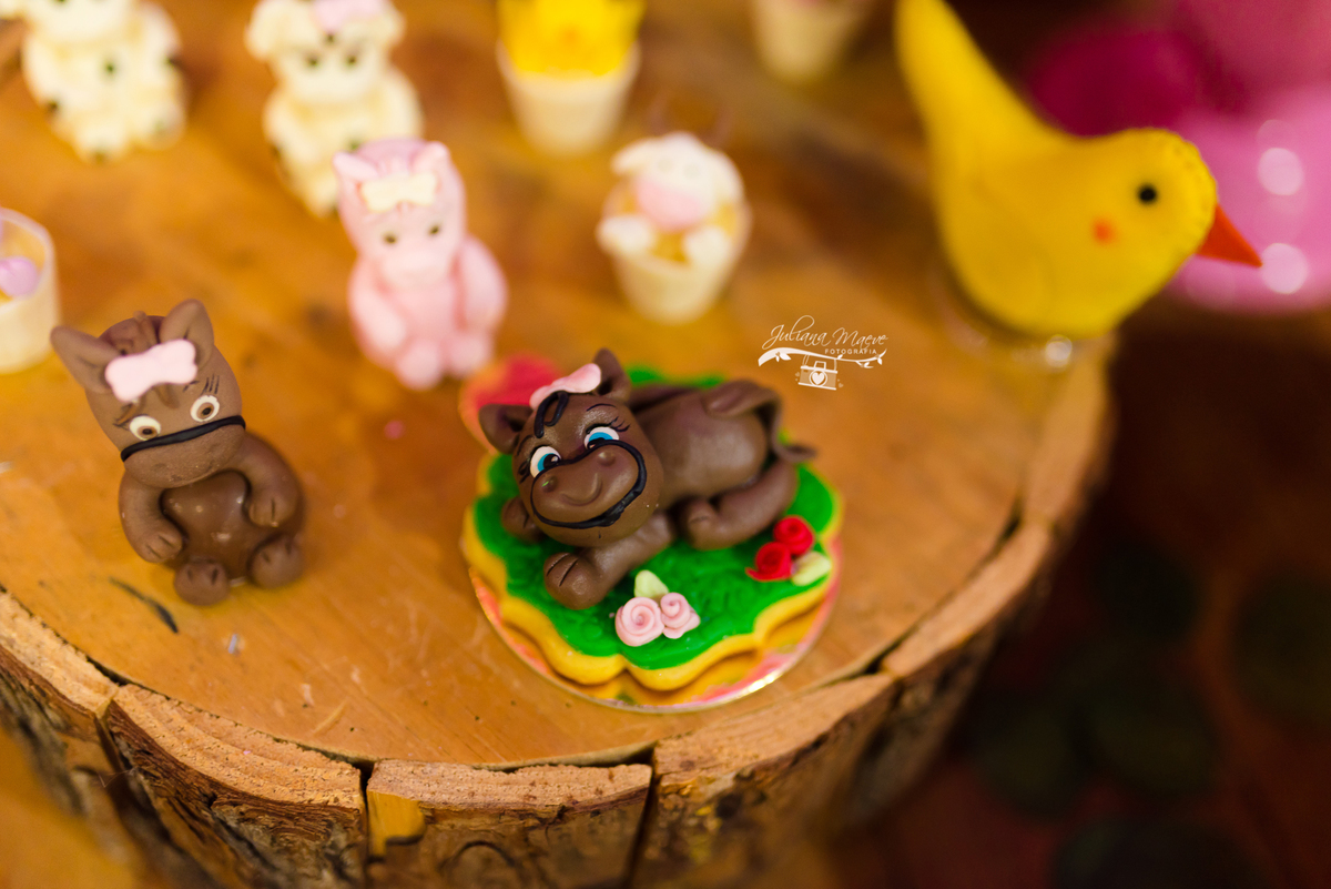 Aniversario  Infantil ouro preto, Juliana Maeve, Juliana maeve Fotografia, Fotografa de Aniversario em ouro preto, Fotografa Infantil Ouro Preto, Fotografa de bebes em Ouro Preto, Aniversario de criança em ouro Preto, fotografa de familia em ouro preto