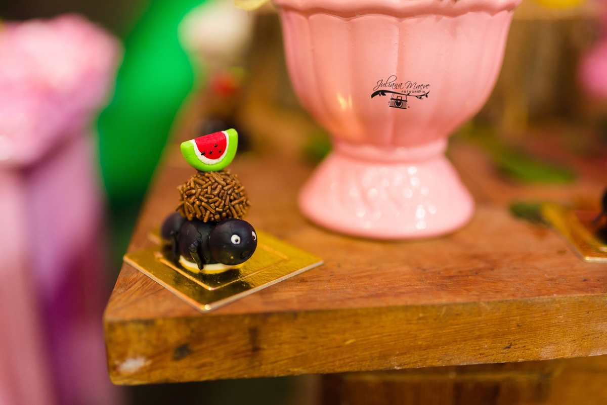 Aniversario  Infantil ouro preto, Juliana Maeve, Juliana maeve Fotografia, Fotografa de Aniversario em ouro preto, Fotografa Infantil Ouro Preto, Fotografa de bebes em Ouro Preto, Aniversario de criança em ouro Preto, fotografa de familia em ouro preto