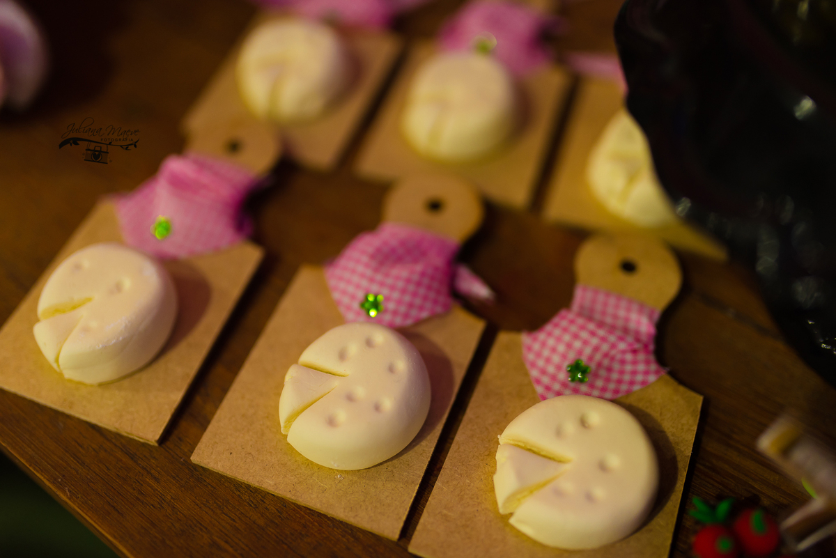 Aniversario  Infantil ouro preto, Juliana Maeve, Juliana maeve Fotografia, Fotografa de Aniversario em ouro preto, Fotografa Infantil Ouro Preto, Fotografa de bebes em Ouro Preto, Aniversario de criança em ouro Preto, fotografa de familia em ouro preto