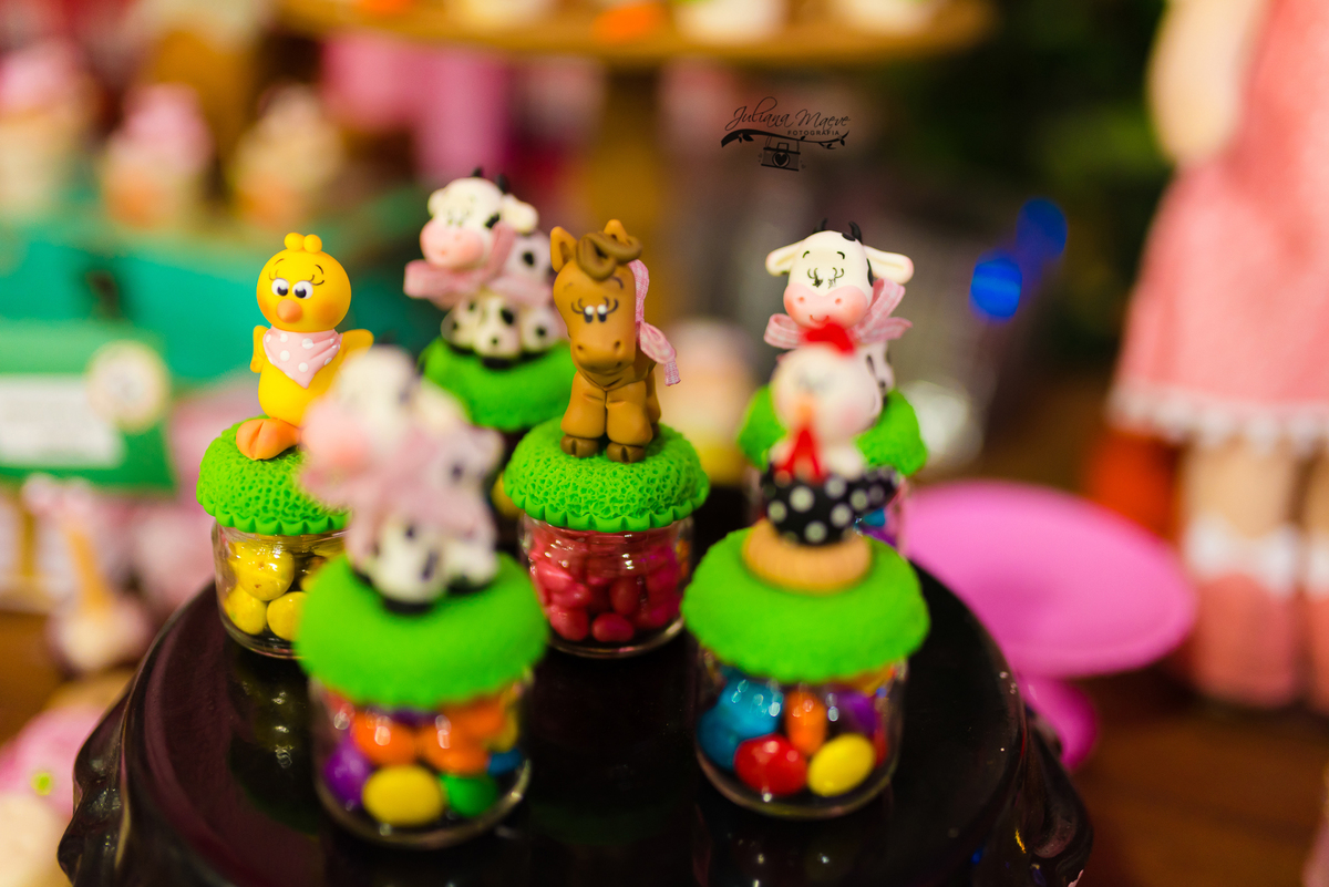 Aniversario  Infantil ouro preto, Juliana Maeve, Juliana maeve Fotografia, Fotografa de Aniversario em ouro preto, Fotografa Infantil Ouro Preto, Fotografa de bebes em Ouro Preto, Aniversario de criança em ouro Preto, fotografa de familia em ouro preto