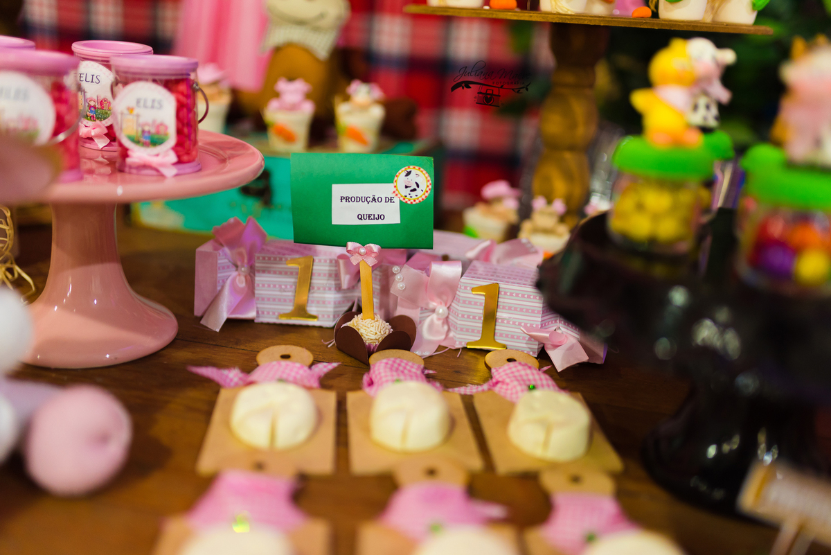 Aniversario  Infantil ouro preto, Juliana Maeve, Juliana maeve Fotografia, Fotografa de Aniversario em ouro preto, Fotografa Infantil Ouro Preto, Fotografa de bebes em Ouro Preto, Aniversario de criança em ouro Preto, fotografa de familia em ouro preto