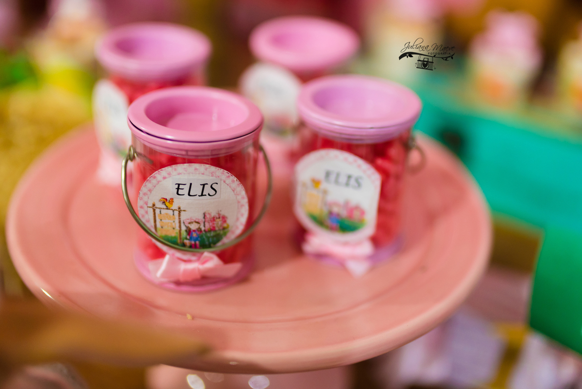 Aniversario  Infantil ouro preto, Juliana Maeve, Juliana maeve Fotografia, Fotografa de Aniversario em ouro preto, Fotografa Infantil Ouro Preto, Fotografa de bebes em Ouro Preto, Aniversario de criança em ouro Preto, fotografa de familia em ouro preto